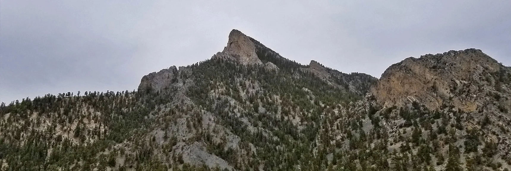 McFarland Peak Viewed from 9,235ft High Point Above the Trail | Sawmill Trail to McFarland Peak | Spring Mountains, Nevada