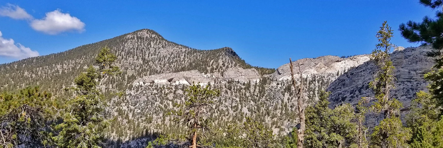 Bonanza Peak Viewed from the Base of McFarland Peak | Bonanza Peak from Lee Canyon via the Lower Bristlecone Pine Trail and Bonanza Trail | Spring Mountains, Nevada