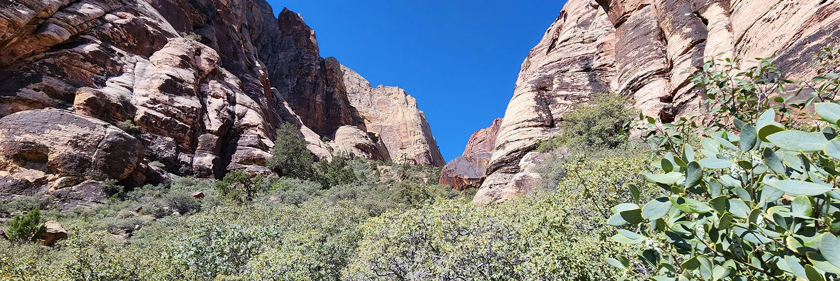 Juniper Canyon Opening Ahead | Juniper Peak Summit | Rainbow Mountain Wilderness, Nevada