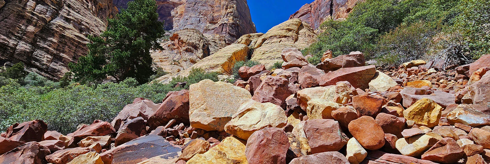 Ascending the Boulder Field Toward the Sandstone Slab | Juniper Peak Summit | Rainbow Mountain Wilderness, Nevada