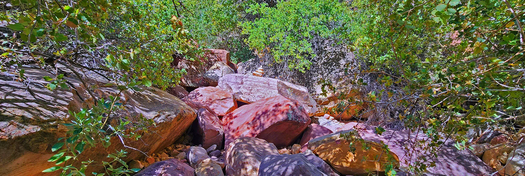 More Boulders. Get Used to It! Cairns Continue to Help Guide. | Juniper Peak Summit | Rainbow Mountain Wilderness, Nevada