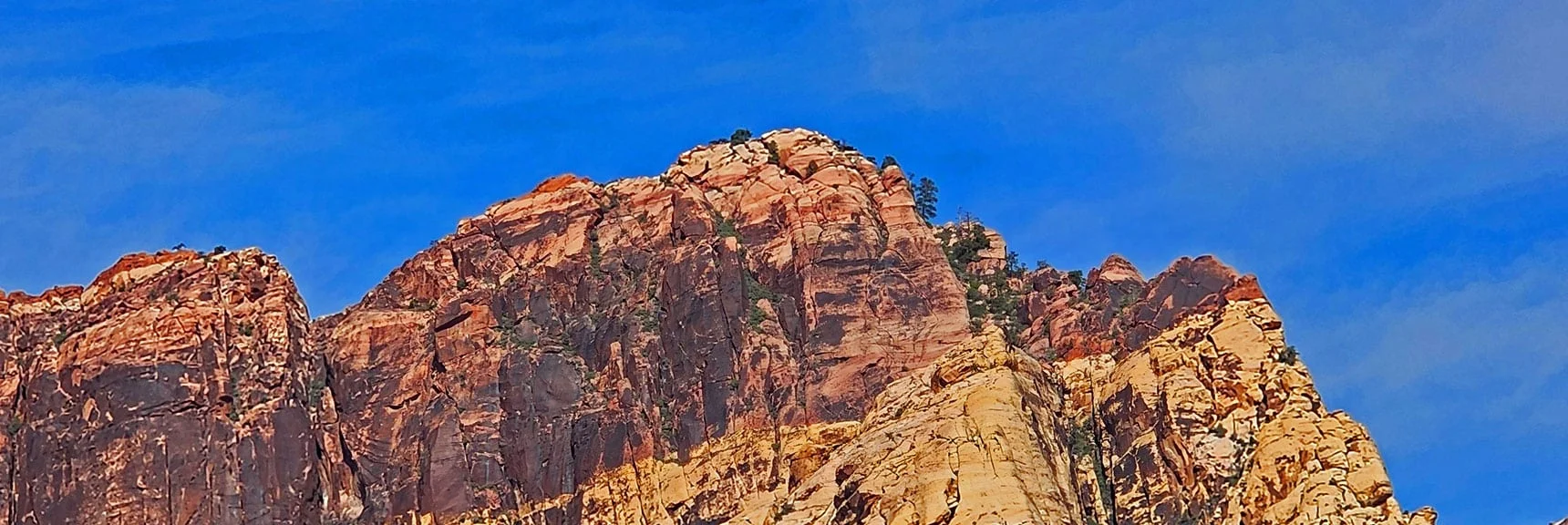 Juniper Peak Summit | Rainbow Mountain Wilderness, Nevada