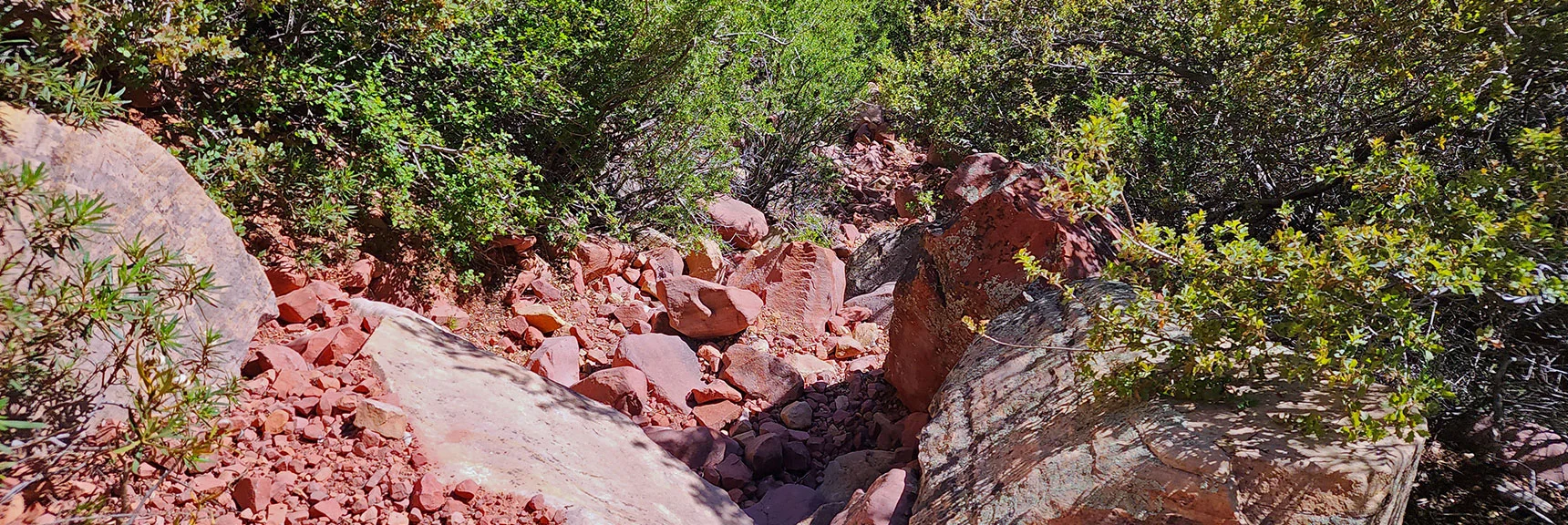 As Rock Begins to Turn Red, Watch for Crossover to Left. | Juniper Peak Summit | Rainbow Mountain Wilderness, Nevada