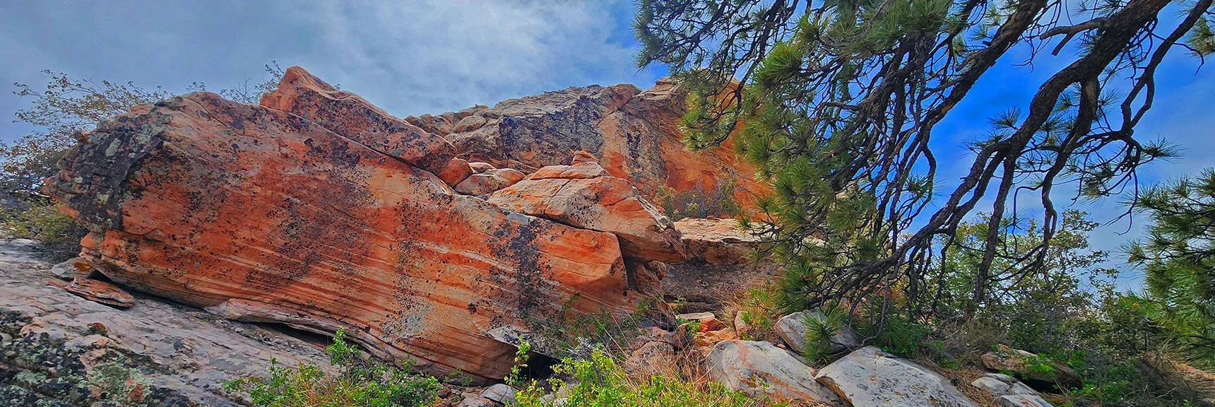 Summit Ahead! Round Right Side of Summit Block. Trail Will Help. | Juniper Peak Summit | Rainbow Mountain Wilderness, Nevada