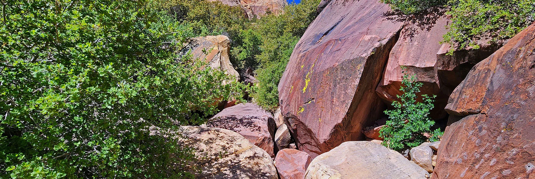 Non-Stop Bouldering in the Lower Canyon | Juniper Peak Summit | Rainbow Mountain Wilderness, Nevada
