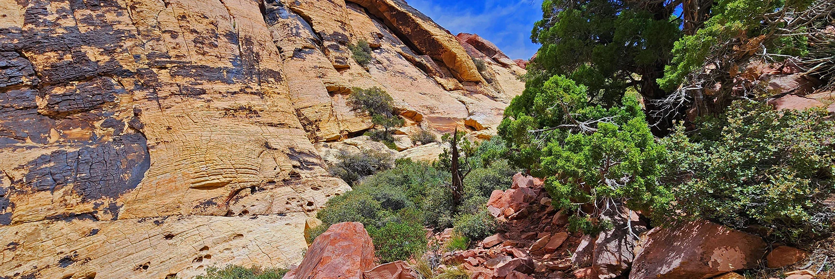Rounding Upper Brownstone Wall. Summit Approach Will Soon Appear! | Juniper Peak Summit | Rainbow Mountain Wilderness, Nevada