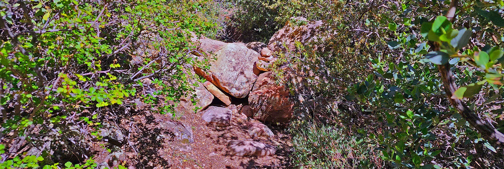 Bouldering Continues | Juniper Peak Summit | Rainbow Mountain Wilderness, Nevada