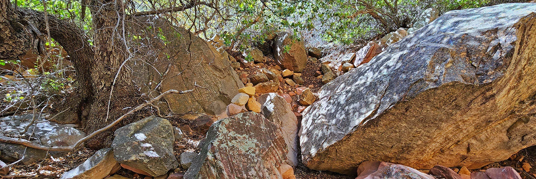 Some Brush Stretches Complicate the Bouldering | Juniper Peak Summit | Rainbow Mountain Wilderness, Nevada
