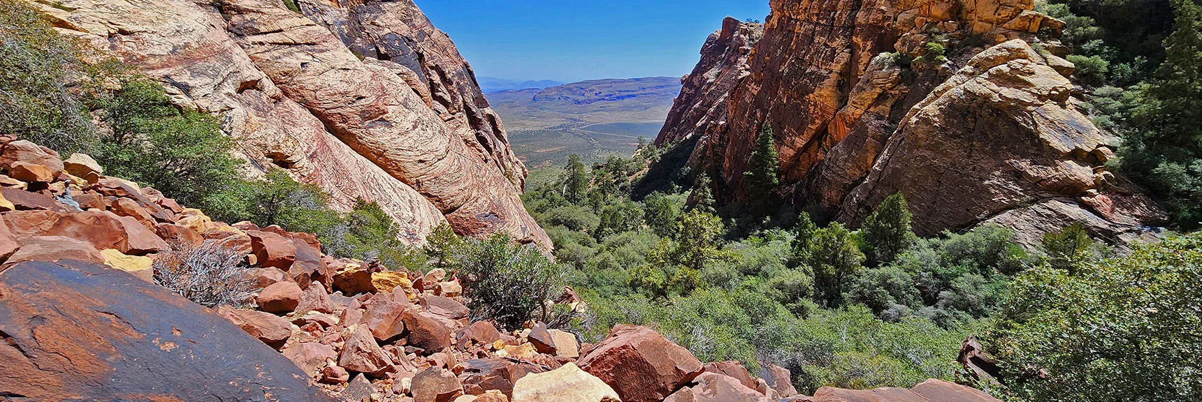 View Down Juniper Canyon from the Boulder Field. | Juniper Peak Summit | Rainbow Mountain Wilderness, Nevada