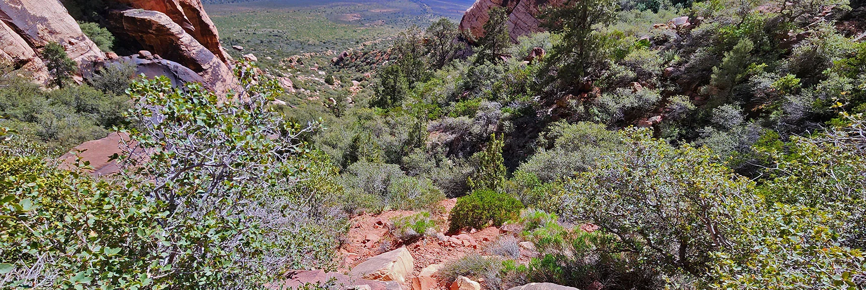 Ascending the Red Rock Ridge. A Trail Guides the Way Over the Ridge | Juniper Peak Summit | Rainbow Mountain Wilderness, Nevada