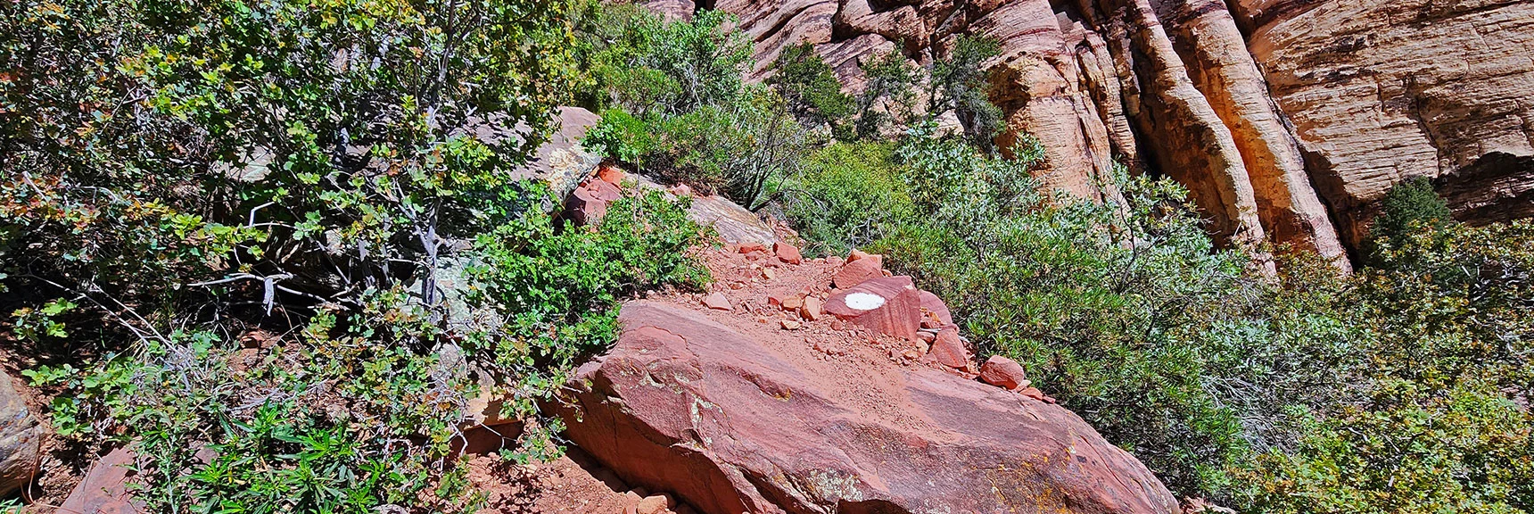 You'll Ascend and Cross Over a Ridge on Left Side of Upper Canyon | Juniper Peak Summit | Rainbow Mountain Wilderness, Nevada