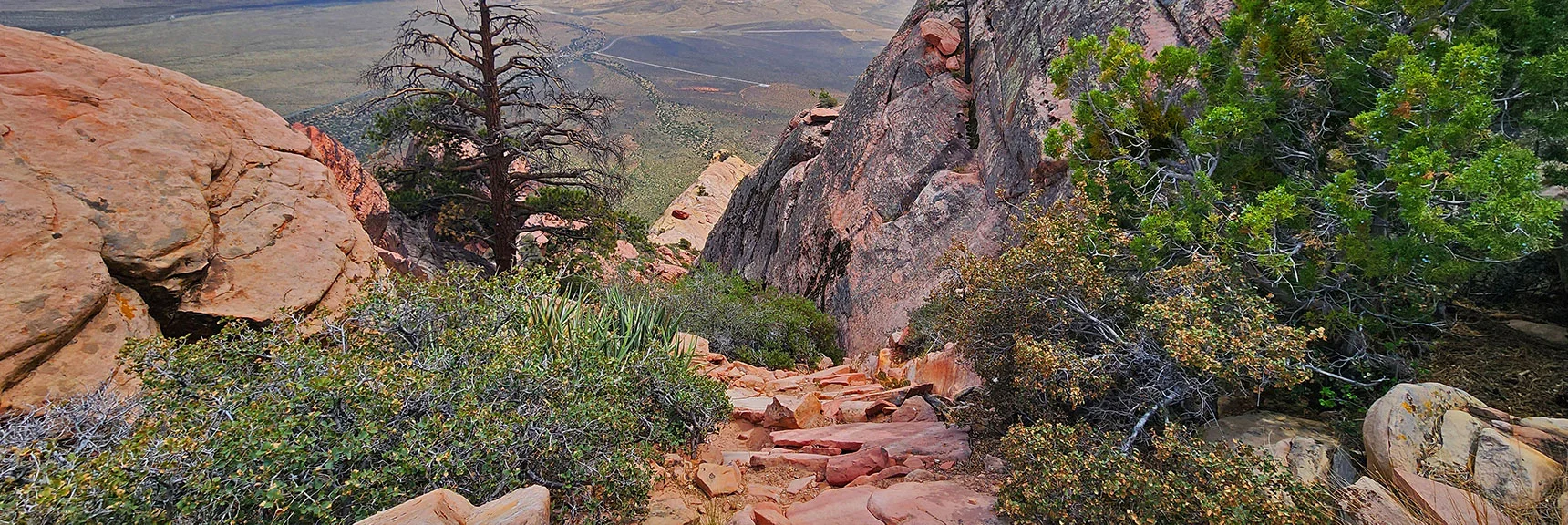 View Down Summit Approach Ramp. | Juniper Peak Summit | Rainbow Mountain Wilderness, Nevada