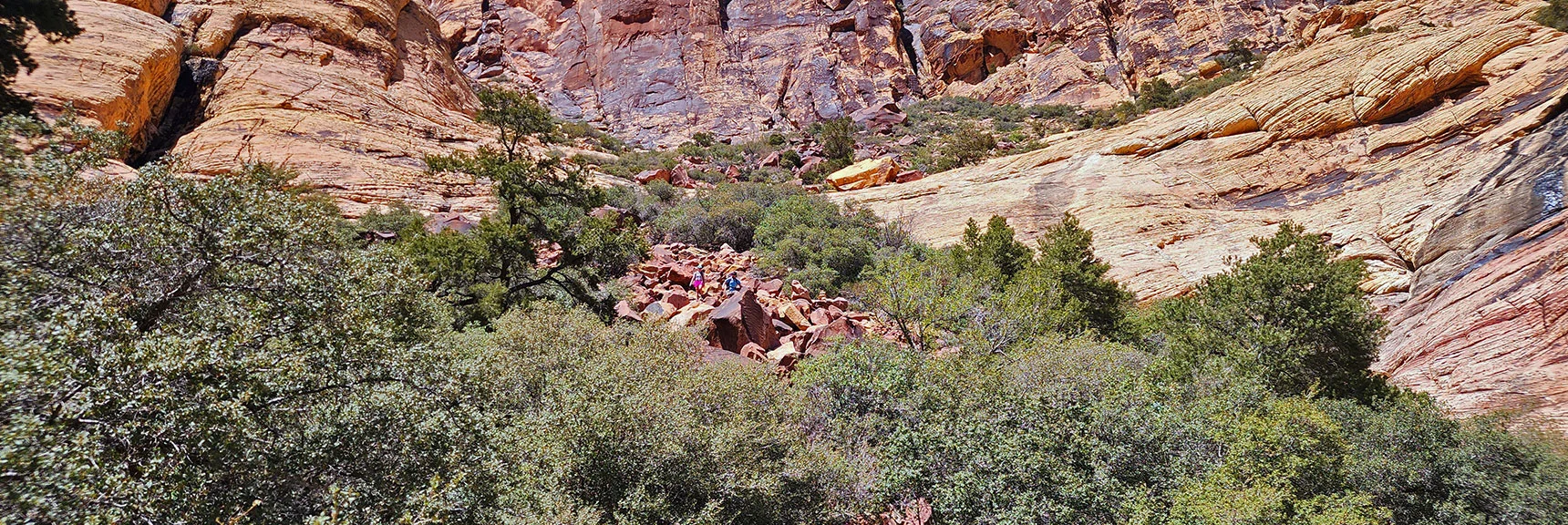 Will Cross to Right Side of Canyon, Ascend Boulder Field to Sandstone Slab | Juniper Peak Summit | Rainbow Mountain Wilderness, Nevada