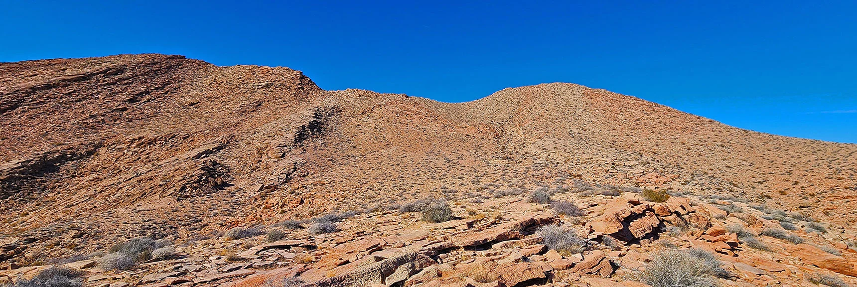 Continue Upward to the Now Visible Ridgeline Summit Area (right of saddle). | Anniversary Ridge | Muddy Mountains Wilderness, Nevada