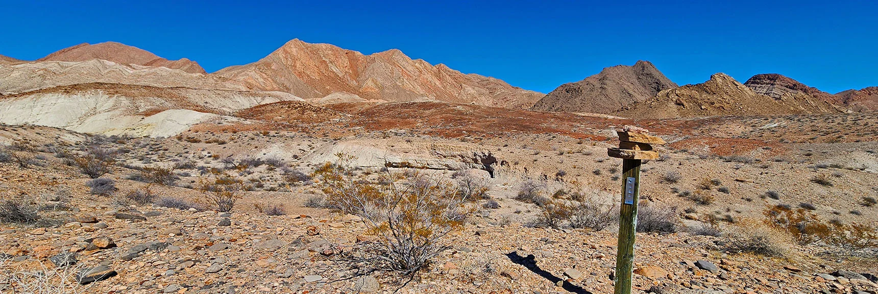 See the Distant Ridgelines Ahead (left of darker hills). | Anniversary Ridge | Muddy Mountains Wilderness, Nevada