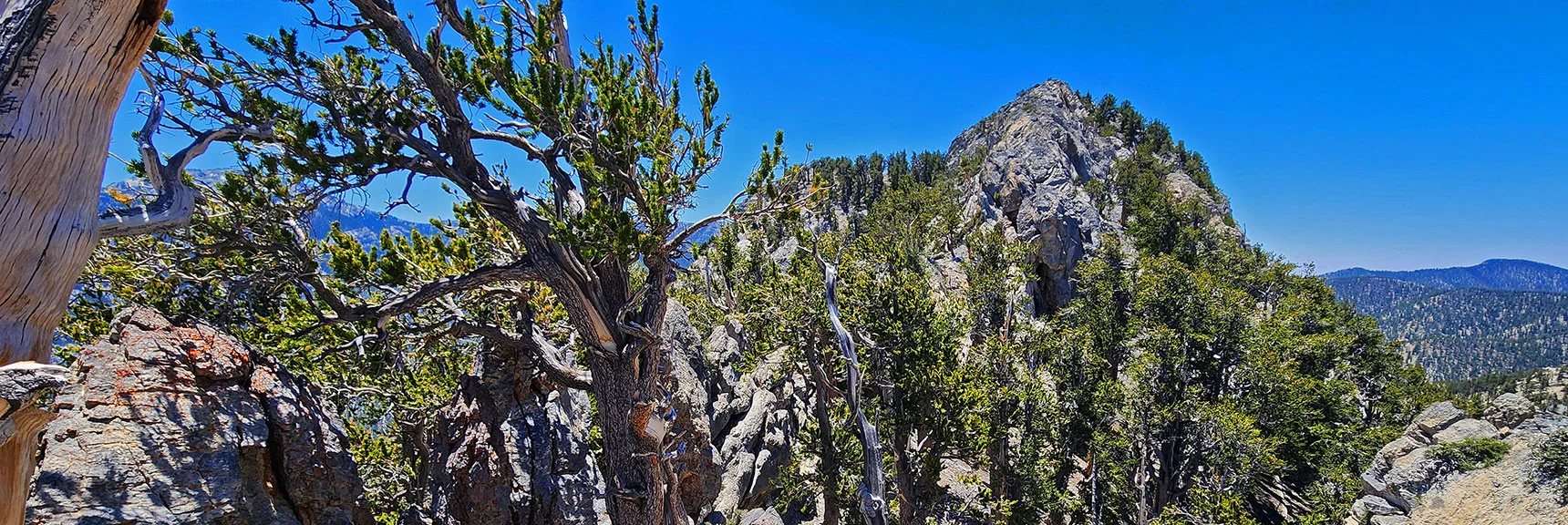 Route Will Soon Descend to West (Left) Side of Saddle, Ascend North Sister West Slope | Sisters South to the Sisters North | Mt. Charleston Wilderness | Spring Mountains, Nevada