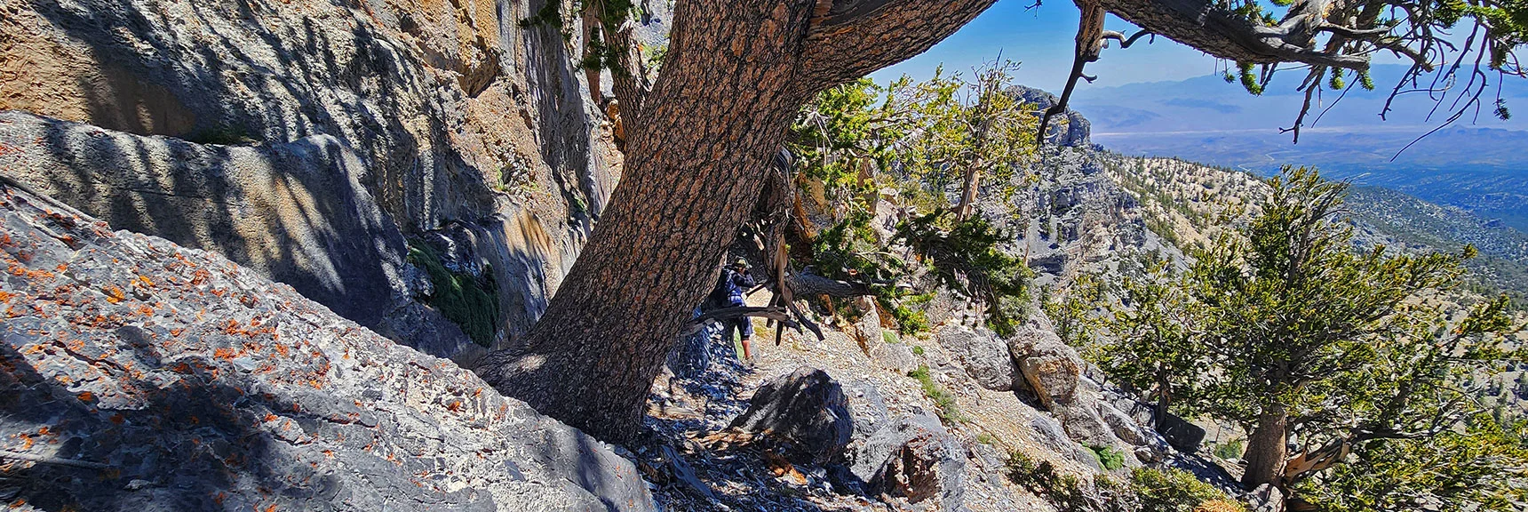 Continue Navigating Saddle's Ledge Toward North Sister | Sisters South to the Sisters North | Mt. Charleston Wilderness | Spring Mountains, Nevada