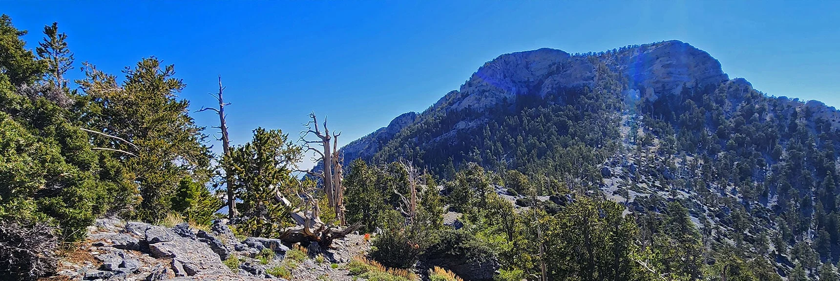 After Winding Up and Around Trail Ascends Up Center of South Sister | Sisters South to the Sisters North | Mt. Charleston Wilderness | Spring Mountains, Nevada