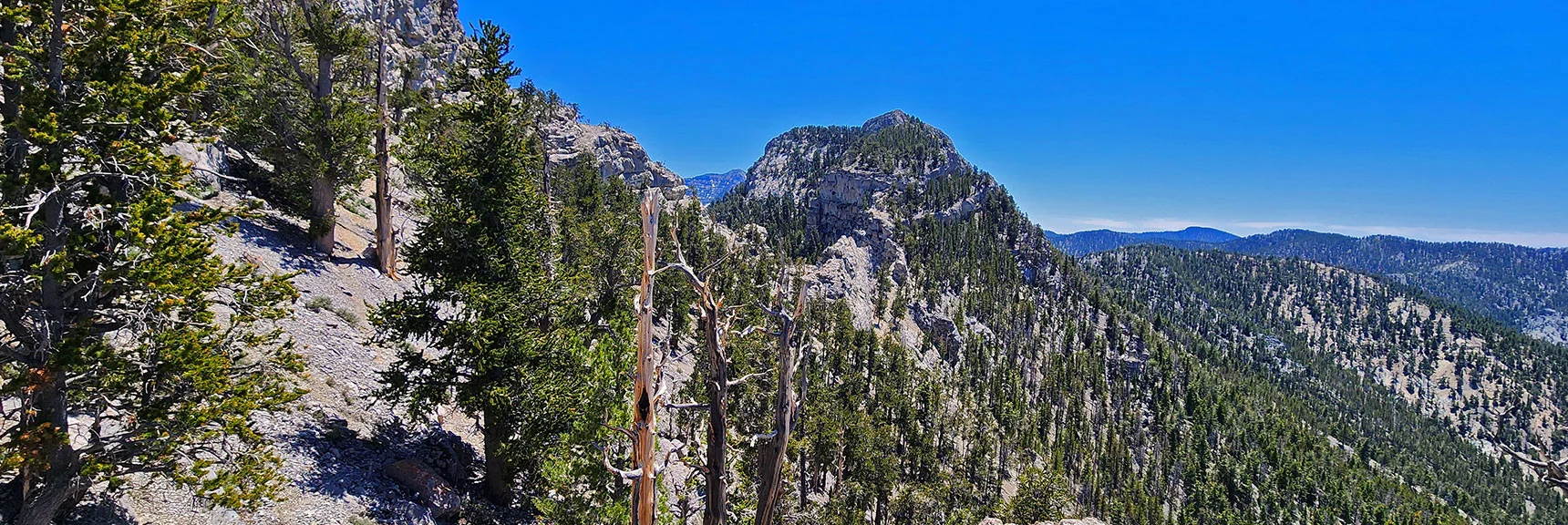 View Back Across Saddle to South Sister | Sisters South to the Sisters North | Mt. Charleston Wilderness | Spring Mountains, Nevada
