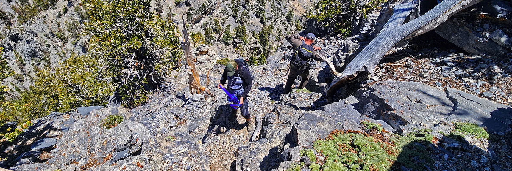 Descending Steep Class 3-4 Scramble to West Side of Saddle | Sisters South to the Sisters North | Mt. Charleston Wilderness | Spring Mountains, Nevada