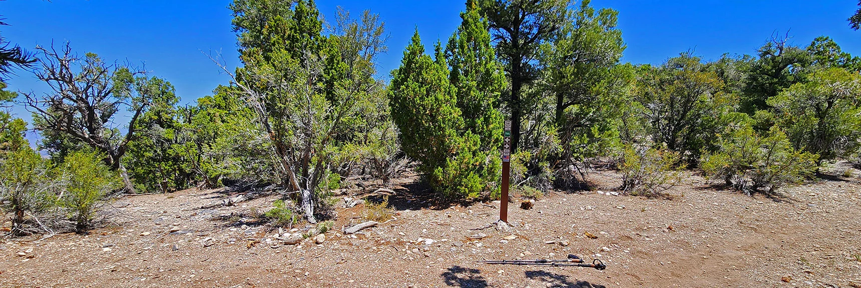 After Turning Left (Red) at First Intersection, Ascend Ridge, Pass Green Mud Springs Loop 1st Entrance | Pinyon Pine Loop Trail | Lee Canyon | Mt. Charleston Wilderness | Spring Mountains, Nevada