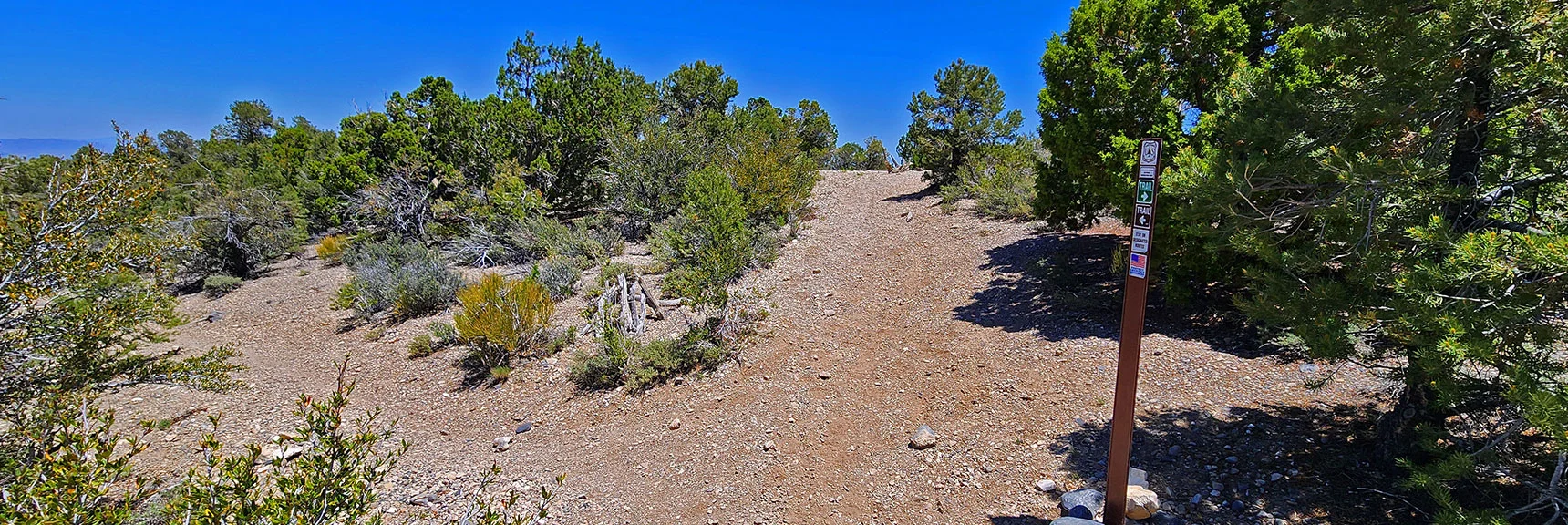Turn Left at Next Connection or You'd Be on Loop Bypass to East Side | Pinyon Pine Loop Trail | Lee Canyon | Mt. Charleston Wilderness | Spring Mountains, Nevada