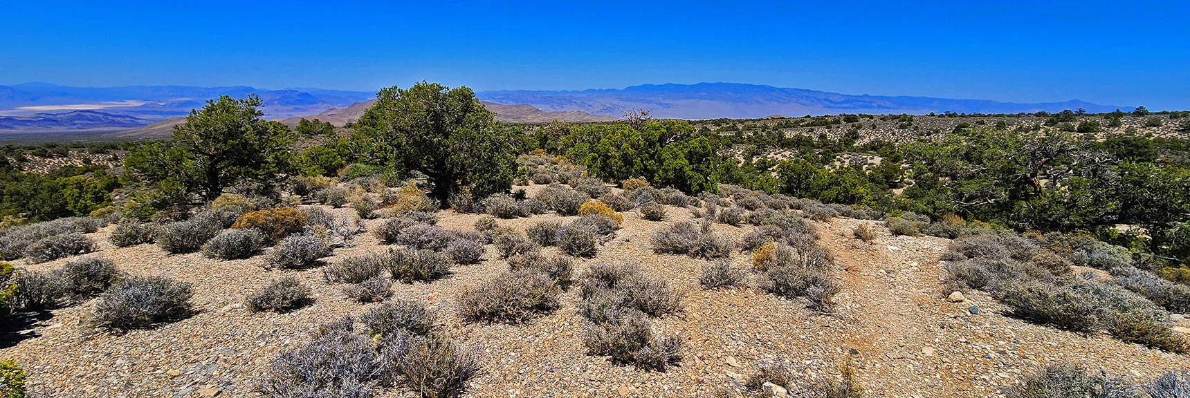 Continue Toward the Far North Edge of the Loop | Pinyon Pine Loop Trail | Lee Canyon | Mt. Charleston Wilderness | Spring Mountains, Nevada