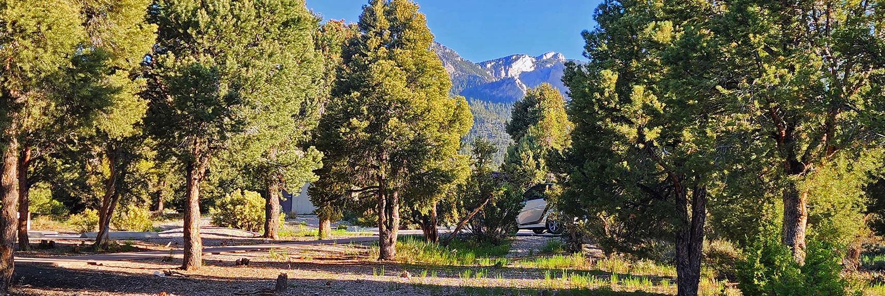 Arrival Back at the Trailhead! Mummy's Head, Across Lee Canyon Road, Marks the Spot! | Pinyon Pine Loop Trail | Lee Canyon | Mt. Charleston Wilderness | Spring Mountains, Nevada