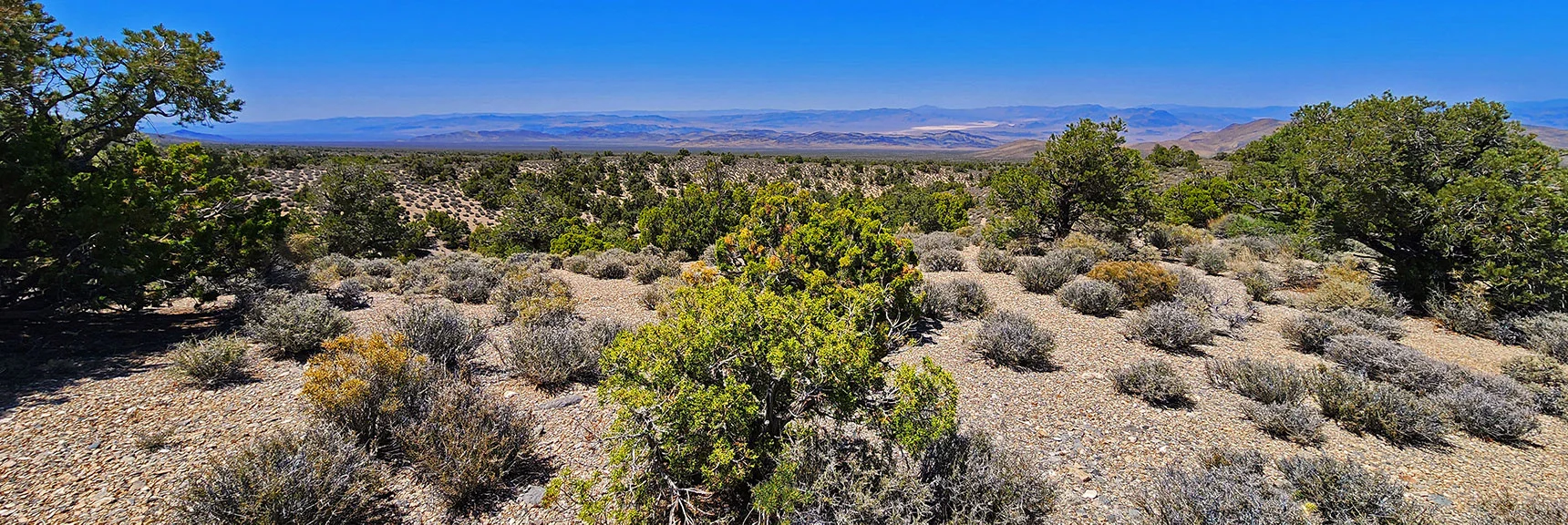 Enjoy Ever Expanding Views of Desert Regions N and E Toward Reno | Pinyon Pine Loop Trail | Lee Canyon | Mt. Charleston Wilderness | Spring Mountains, Nevada