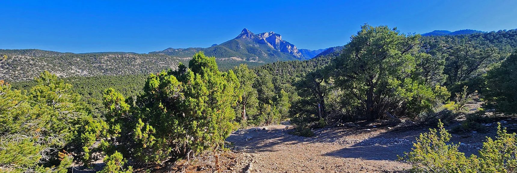 Cross a Road to Continue Toward Mummy's Head. | Pinyon Pine Loop Trail | Lee Canyon | Mt. Charleston Wilderness | Spring Mountains, Nevada