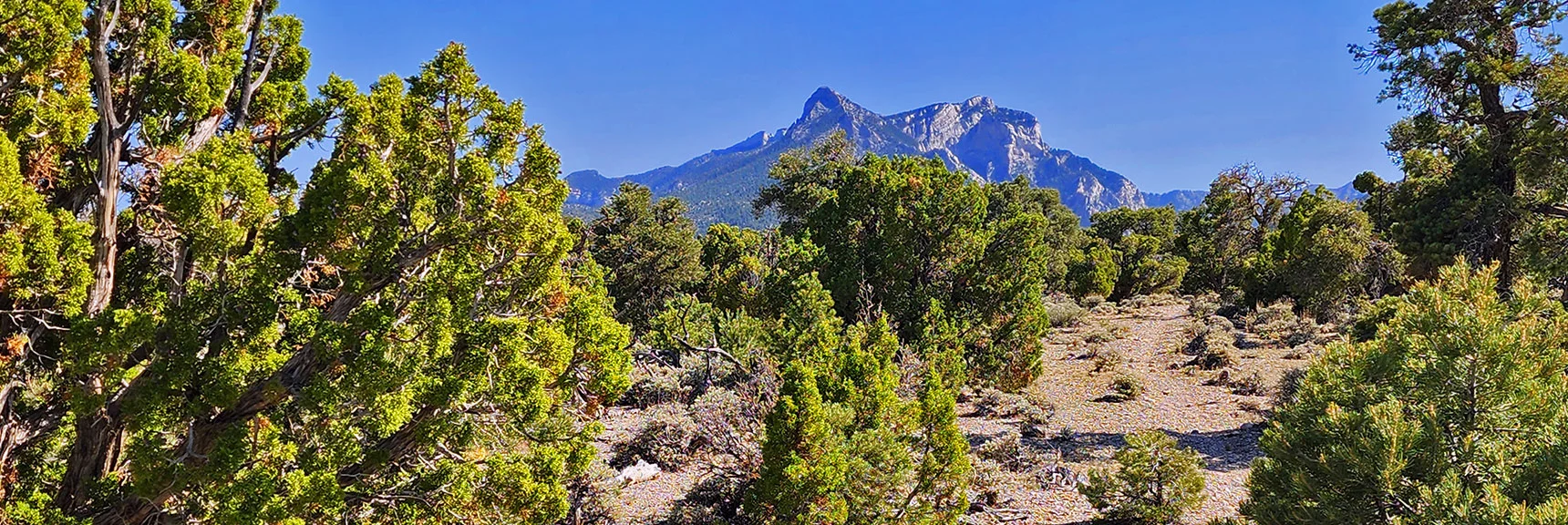Continue on Trail Toward Your Distant Trailhead Reference Point: Mummy's Head. | Pinyon Pine Loop Trail | Lee Canyon | Mt. Charleston Wilderness | Spring Mountains, Nevada