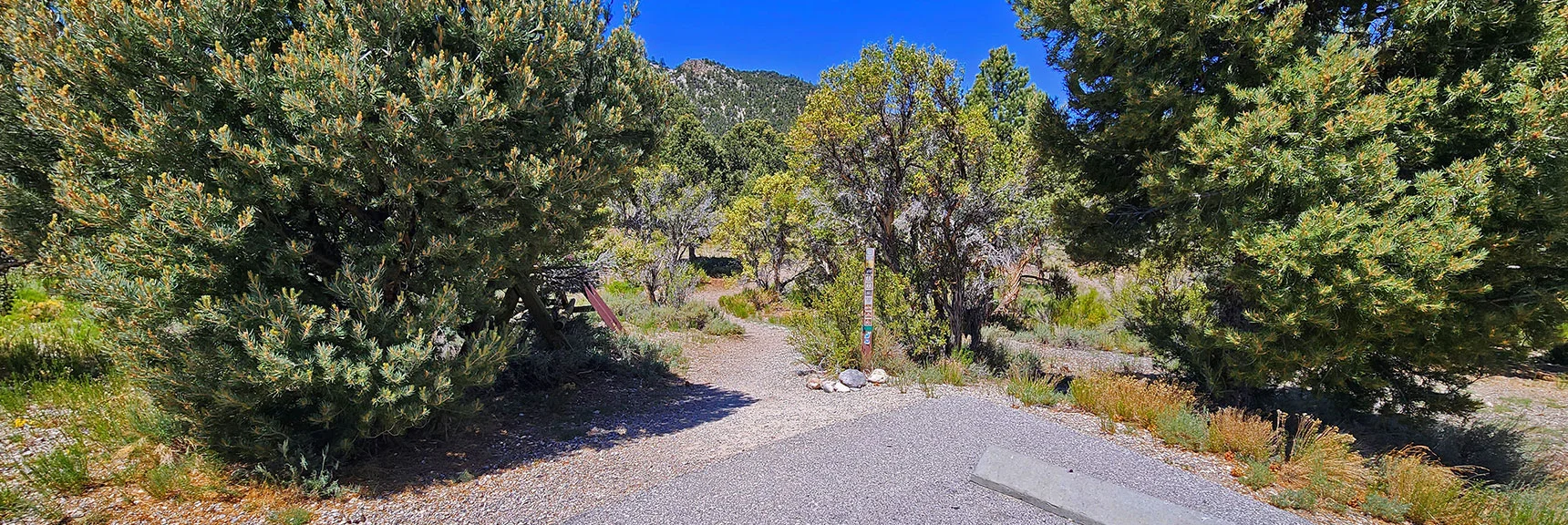 Trail Begins Here at the Edge of the Hiker's Parking Area | Pinyon Pine Loop Trail | Lee Canyon | Mt. Charleston Wilderness | Spring Mountains, Nevada
