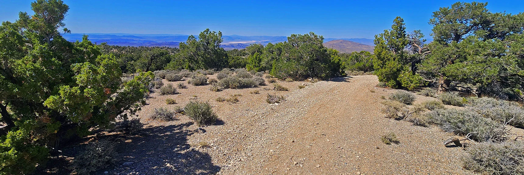 The Trail Briefly Becomes a Road. This is a View Back Along the Road | Pinyon Pine Loop Trail | Lee Canyon | Mt. Charleston Wilderness | Spring Mountains, Nevada