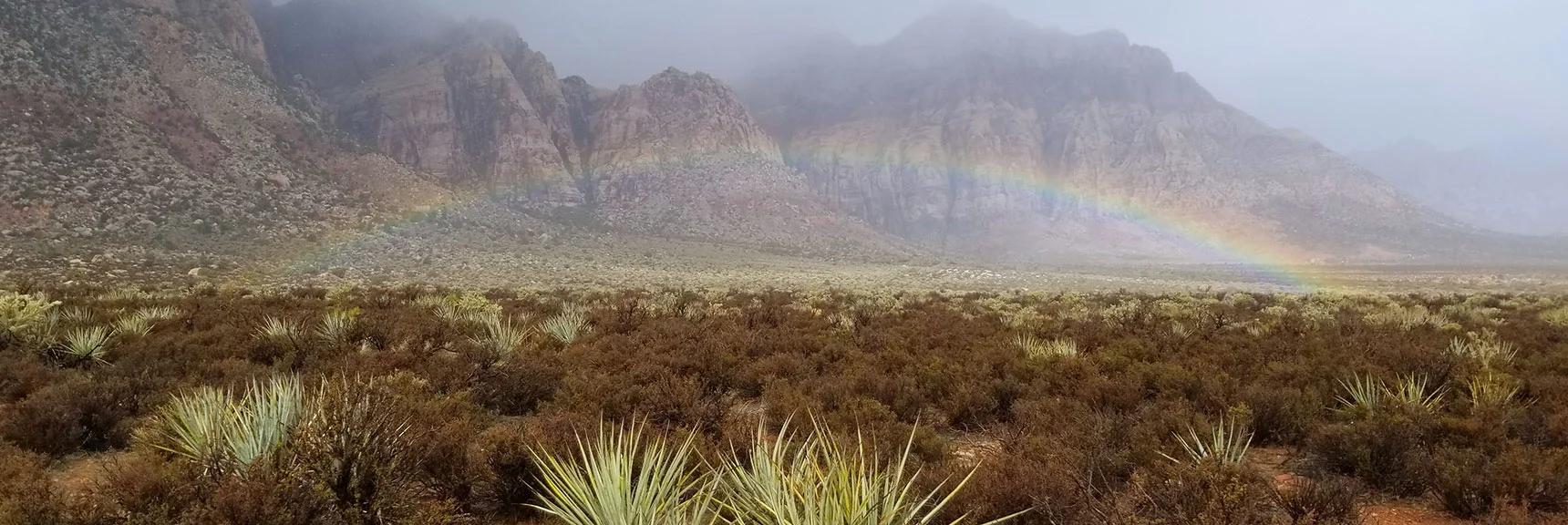 Rainbow On Middle Oak Creek Trail in Rainbow Mountain Wilderness