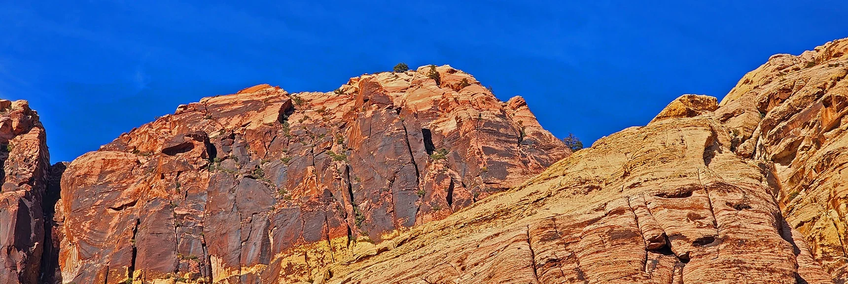 Juniper Peak Summit from Rainbow Mountain Eastern Base | Rainbow Mountain Eastern Cliffs Rock Climbers | Rainbow Mountain Wilderness, Nevada