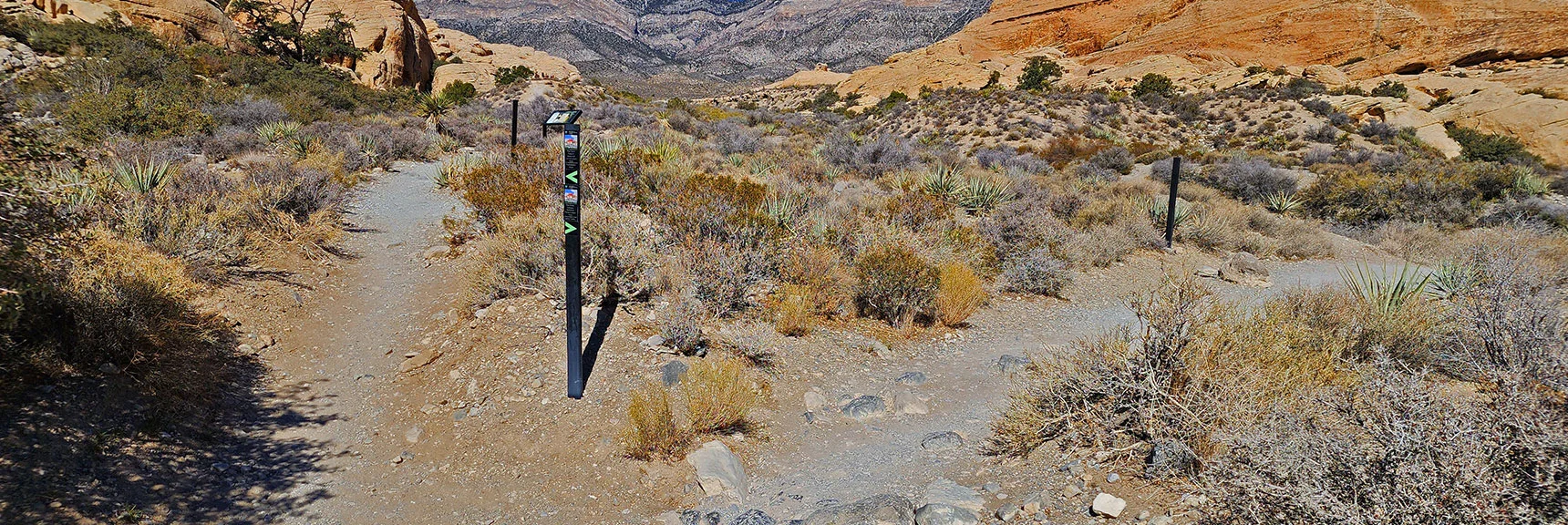 Shortly Beyond the Quarry the Trail Splits. Calico Tanks Right. Turtlehead Peak Left. | Calico Tanks | Red Rock Canyon National Conservation Area, Nevada