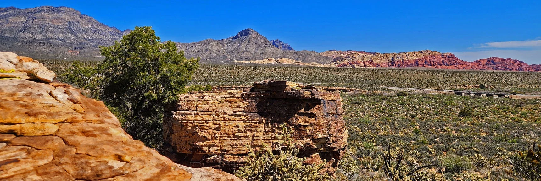 No Petroglyphs Found. However, Many Artistic Photo Opportunities. | Dales Trail | Red Rock Canyon National Conservation Area, Nevada | David Smith | LasVegasAreaTrails.com