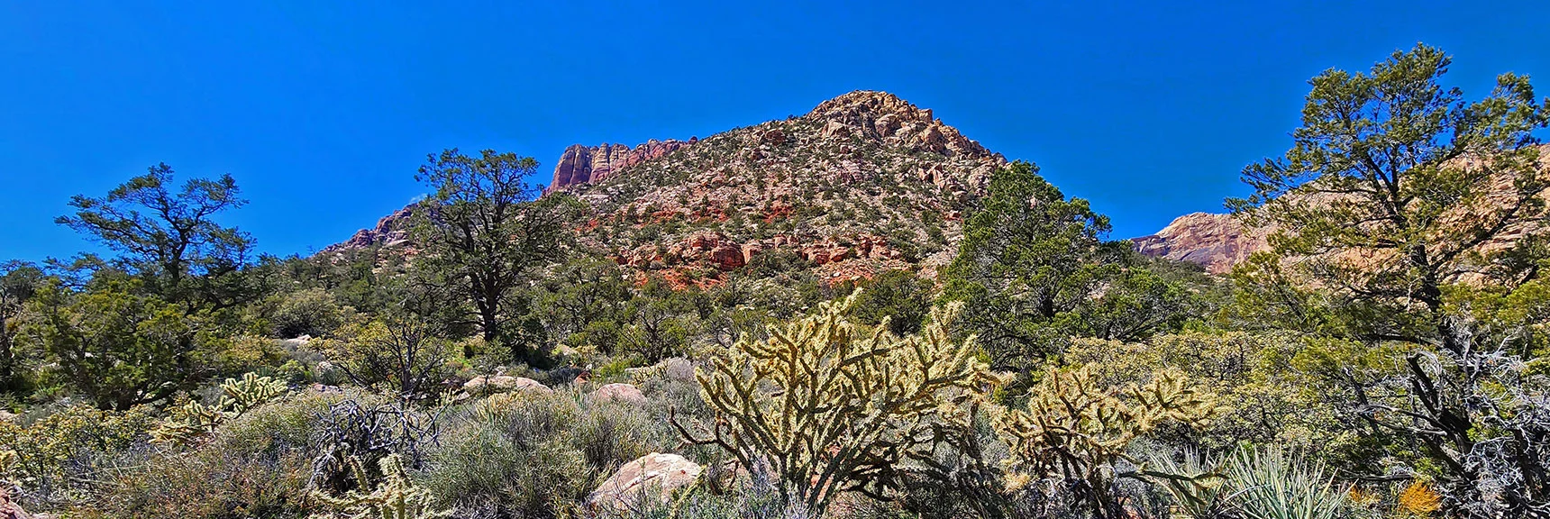 That Bench a Few Slides Ago Was at the Base of the High Viewpoint (Center) | Dales Trail | Red Rock Canyon National Conservation Area, Nevada | David Smith | LasVegasAreaTrails.com