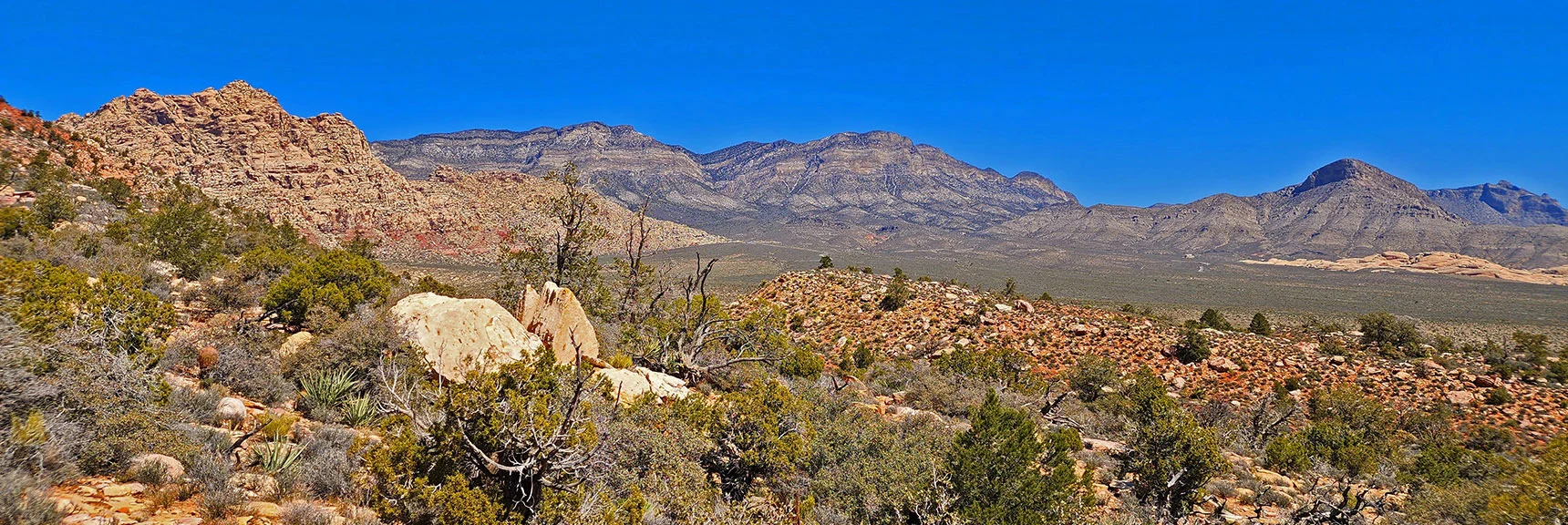 Sweeping View of Northeastern Red Rock Canyon | Dales Trail | Red Rock Canyon National Conservation Area, Nevada | David Smith | LasVegasAreaTrails.com