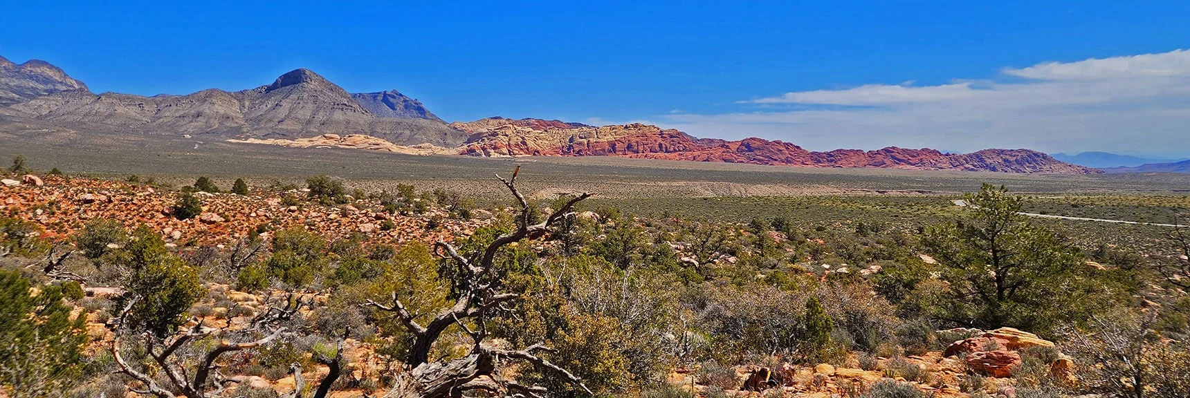 Turtlehead Peak and Calico Hills Below Across Red Rock Canyon | Dales Trail | Red Rock Canyon National Conservation Area, Nevada | David Smith | LasVegasAreaTrails.com