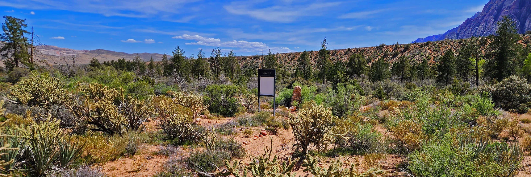 Return to Southern Dales Trailhead in Pine Creek Canyon | Dales Trail | Red Rock Canyon National Conservation Area, Nevada | David Smith | LasVegasAreaTrails.com