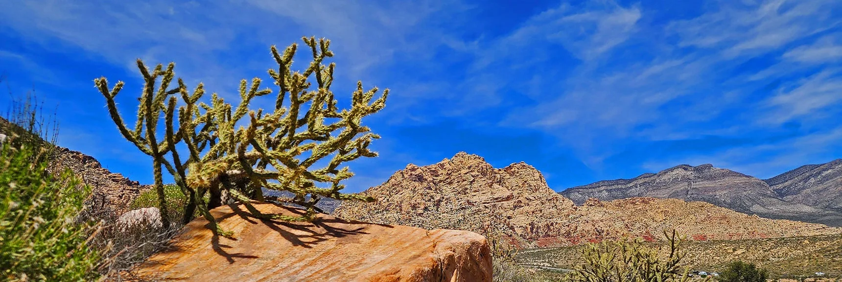 Returning South on Dales Trail. Look Back at White Rock Mountain | Dales Trail | Red Rock Canyon National Conservation Area, Nevada | David Smith | LasVegasAreaTrails.com