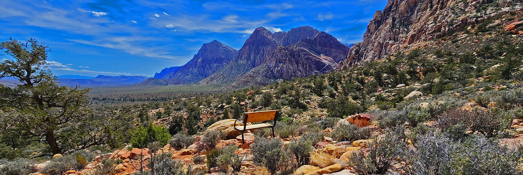 South-Facing Viewpoint Along the Dales Trail Near Pine Creek Canyon | Dales Trail | Red Rock Canyon, Nevada | David Smith | LasVegasAreaTrails.com