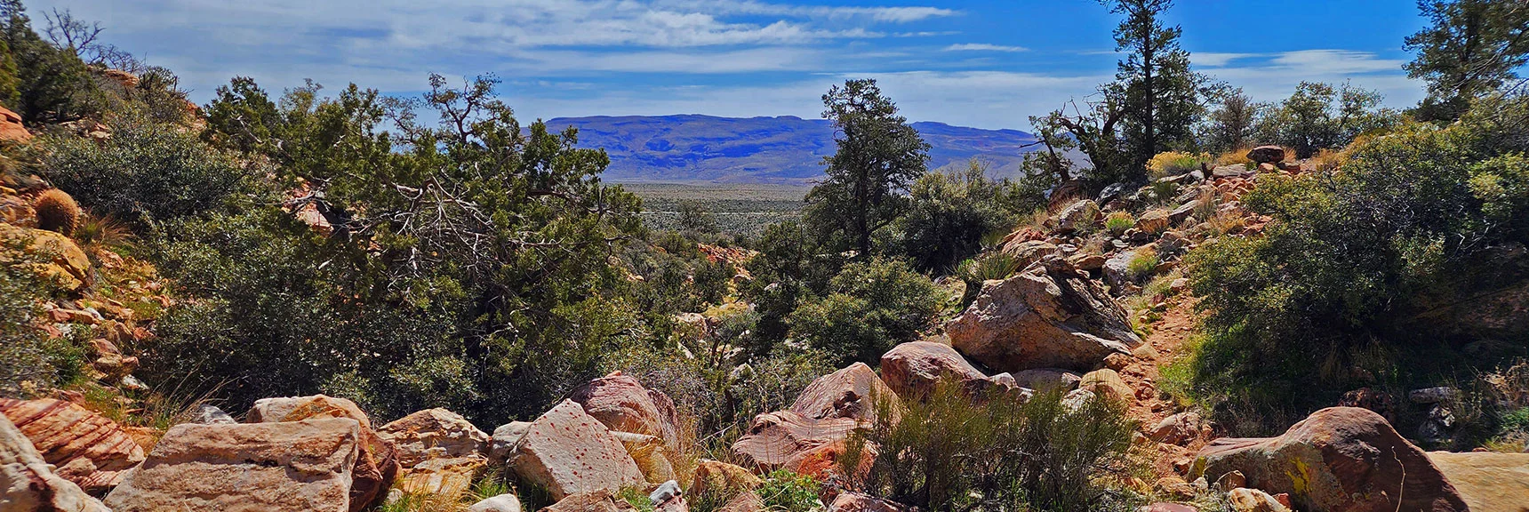 One of Five, Mostly Shallow Canyon Wash Crossings. Blue Diamond Hill Background. | Dales Trail | Red Rock Canyon National Conservation Area, Nevada | David Smith | LasVegasAreaTrails.com