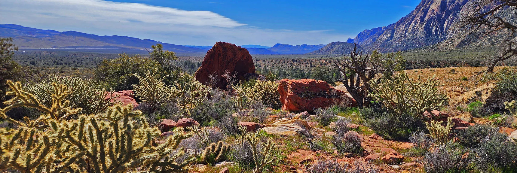 Looking Back Toward Boulder While Continuing North | Dales Trail | Red Rock Canyon National Conservation Area, Nevada | David Smith | LasVegasAreaTrails.com