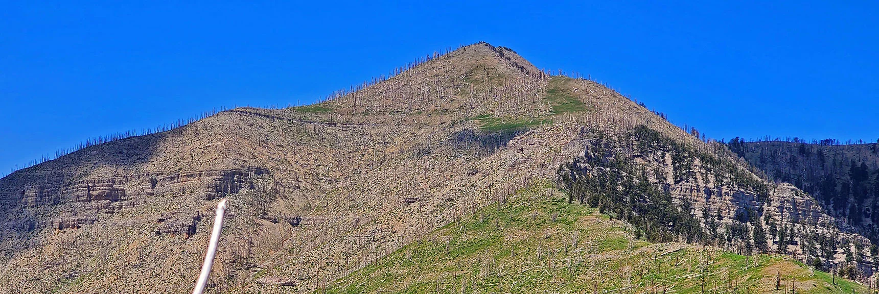 View Toward Escarpment Trail Across Kyle Canyon Road | Eagles Nest Loop | Mt Charleston Wilderness | Spring Mountains, Nevada