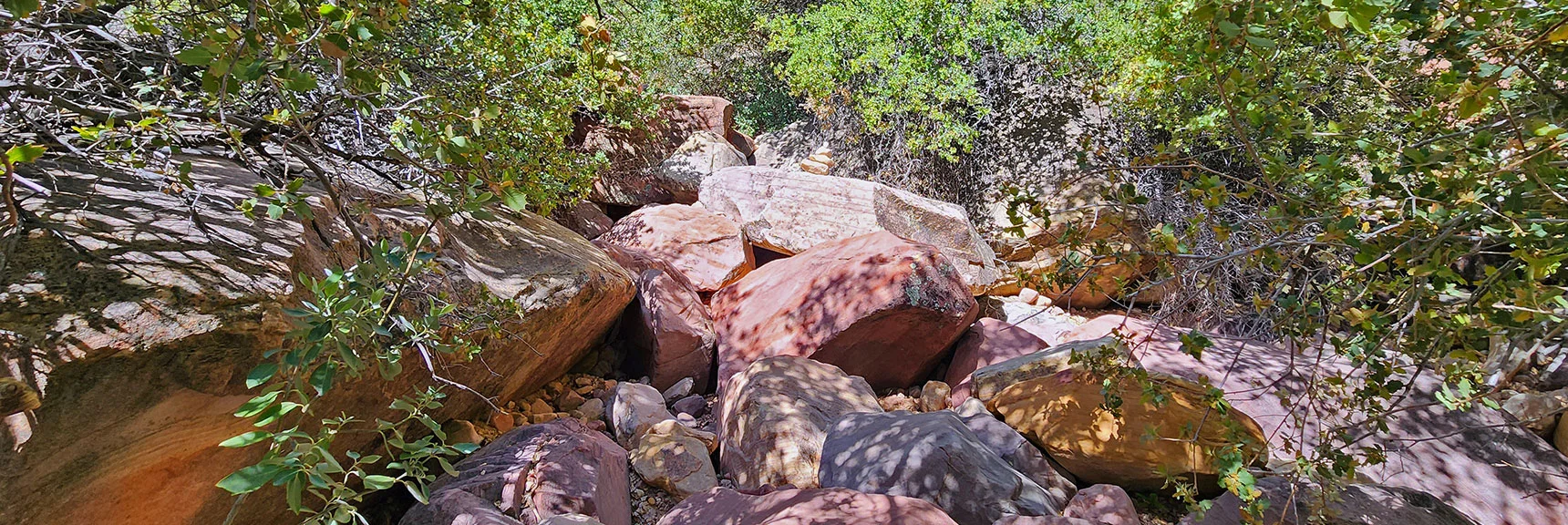 Carefully Watch for the Next Cairn and Take the Best Route to Reach It | Juniper Peak Summit | Rainbow Mountain Wilderness, Nevada | David Smith, LasVegasAreaTrails.com