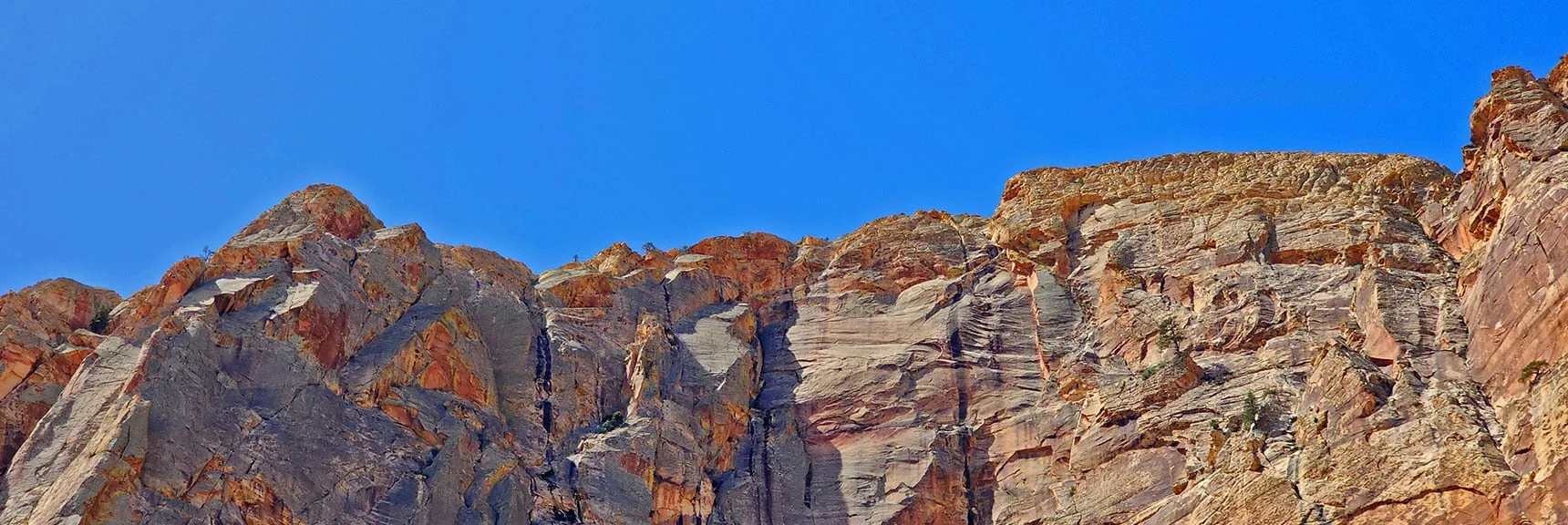 Rainbow Wall Summit | Juniper Peak Summit | Rainbow Mountain Wilderness, Nevada | David Smith, LasVegasAreaTrails.com
