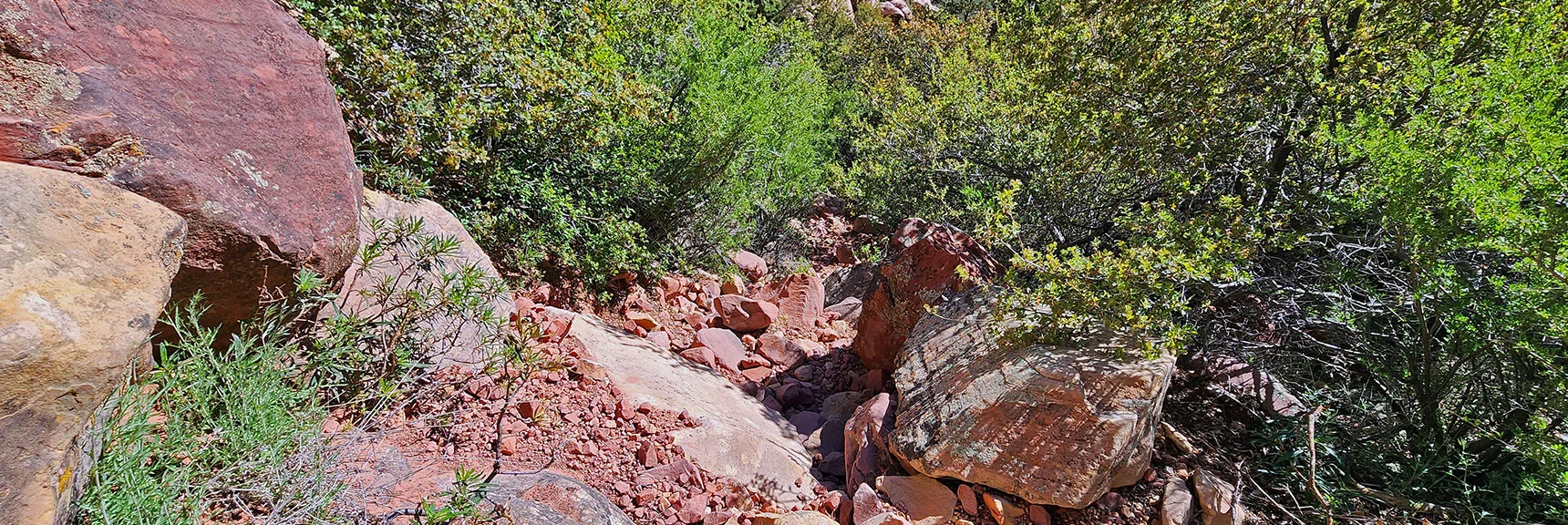 Rising Above Boulder Stretch Onto a Loose Red Rock Ridge Trail | Juniper Peak Summit | Rainbow Mountain Wilderness, Nevada | David Smith, LasVegasAreaTrails.com