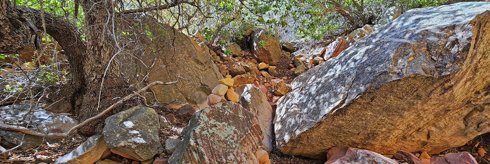 More Boulders & Cairns. Nothing Beyond Fun Class 3 | Juniper Peak Summit | Rainbow Mountain Wilderness, Nevada | David Smith, LasVegasAreaTrails.com
